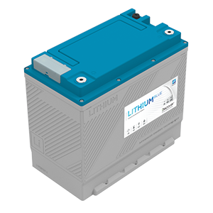 Discover AES-B-GC12-24V battery